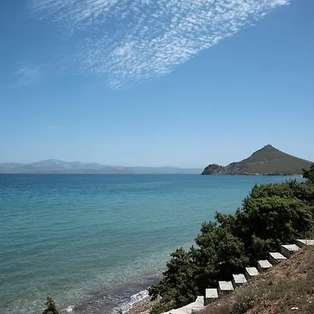 Ariakas *