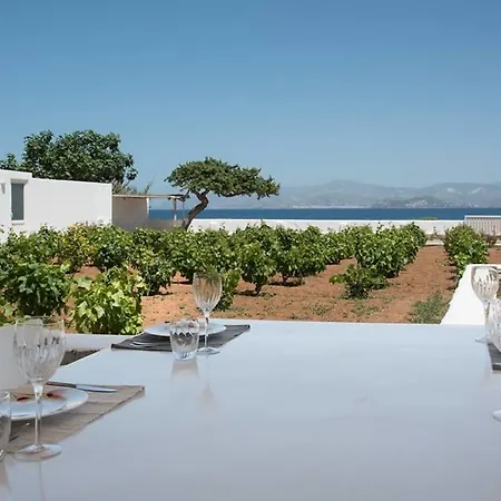 Ariakas Parikia (Paros)