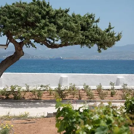 Ariakas * Parikia (Paros)
