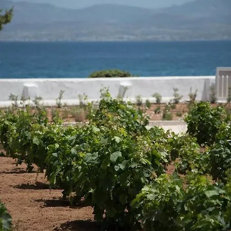 Ariakas Holiday home *